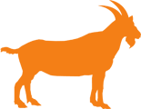 Logo BOK