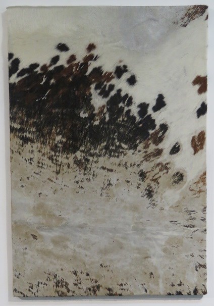 Paul Tegenbosch