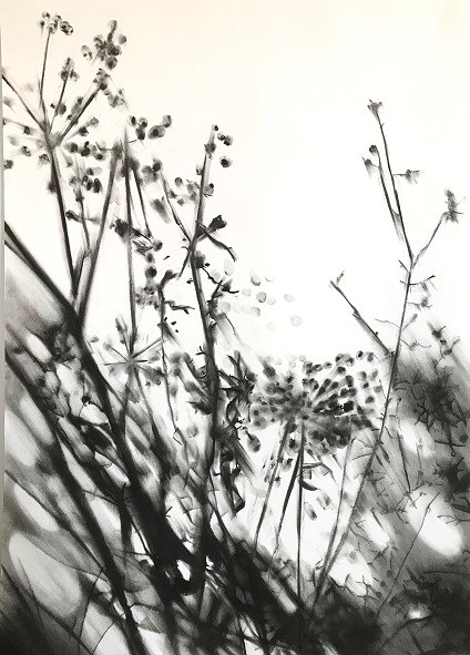 Carlijn Mens - Preserved Places, Road Side Gorinchem - dijken 60x40cm, houtskool op papier