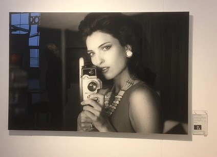 Kim de Molenaer