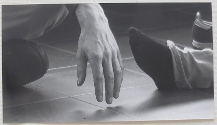 Lotte van den Berg