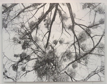 Mirjam Abraas