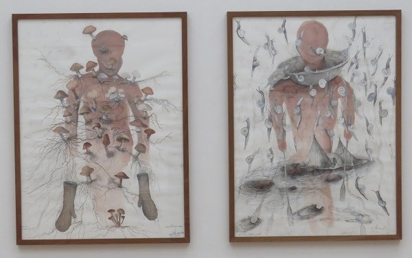 Sjef Henderickx 'Mycelium man'
