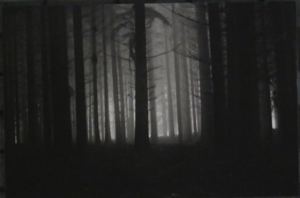 Aldwin Lehr