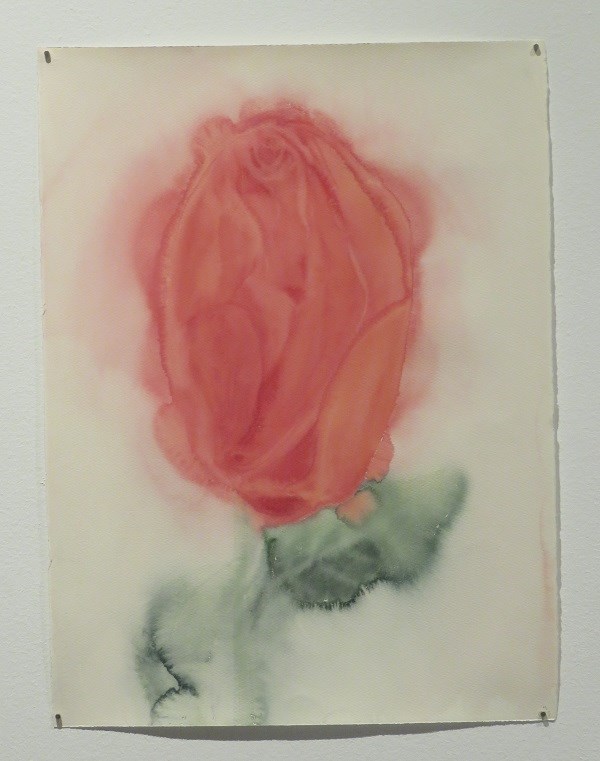 Maria Roosen