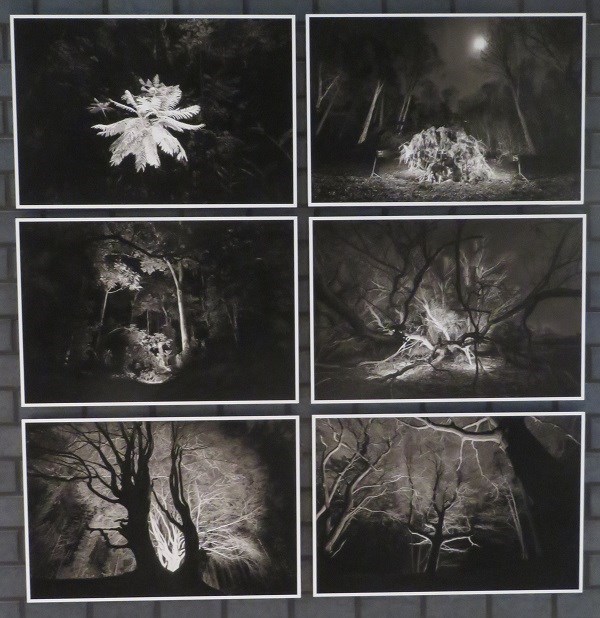 Rob Sweere